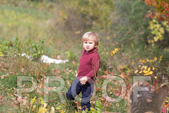 _MG_9296_edited-1