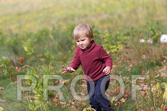 _MG_9297_edited-1
